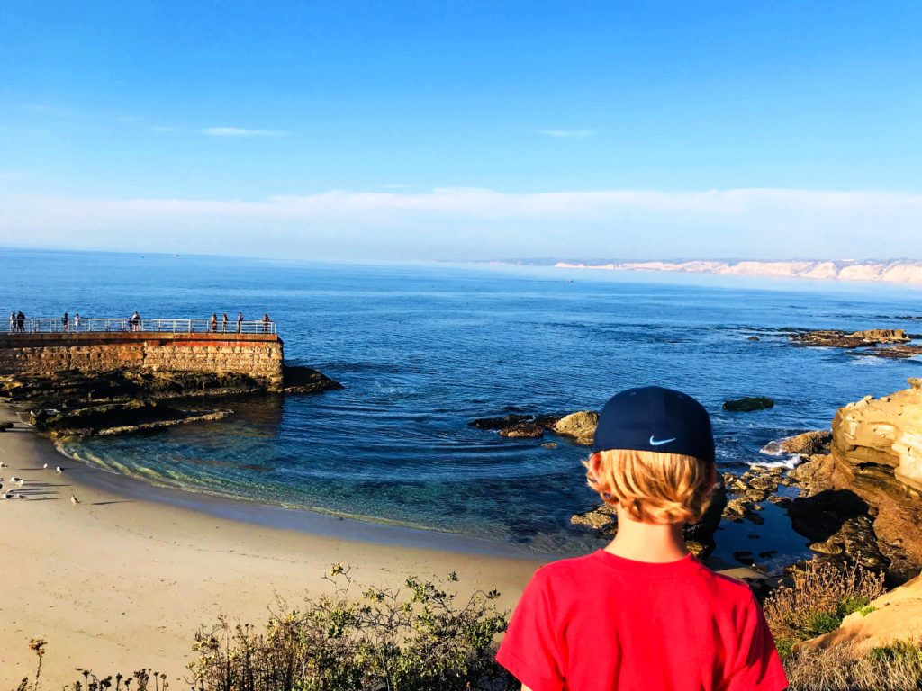 La Jolla Cove: 8 Things Even the Locals Don't Know